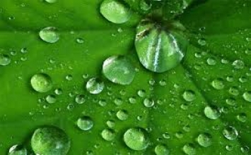Ngày mai vẫn có thể có nước uống không?